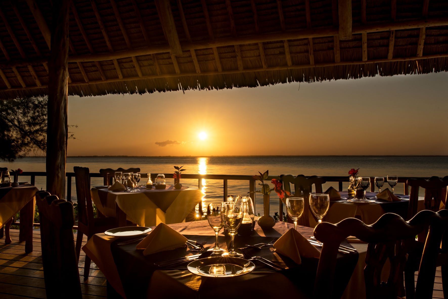 Michamvi Sunset Bay Resort thumbnail 4